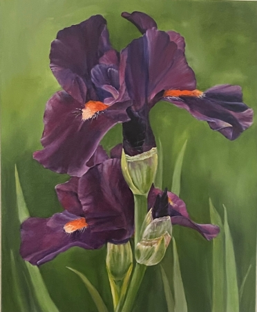 Purple Iris by artist Pat Flathouse